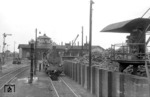56 294 im Bw Rahden (Ostwestf.). (1952) <i>Foto: Quebe</i>