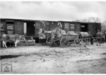 Kartoffelversand in einem unbekannten Bahnhof der RBD Erfurt. (1942) <i>Foto: RVM</i>