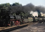 01 0527-0 (01 527) beschleunigt D 1333 aus Westerland durch den Haltepunkt Berlin-Tiergarten in Richtung Osten. (24.08.1976) <i>Foto: Peter Schiffer</i>