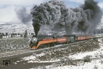 4449 war die letzte Maschine der sog. "Golden State"-Lokomotiven für die Southern Pacific. Sie wurde am 30. Mai 1941 in Dienst gestellt und erhielt einen rot-orangen Anstrich für die Beförderung der "Daylight"-Personenzüge. Nach ihrer Ausmusterung am 02. Oktober 1957 wurde sie als Denkmallok in Portland/Oregon aufgestellt.  Am 21. April 1975 begann ihr "zweites Leben" als Zuglok des "American Freedom Train", der mit Dampf quer durch die USA fuhr, jedoch in den rot-weißen Farben der Amtrak-Gesellschaft. Im Jahre 1981 erhielt sie ihre ursprüngliche Farbgebung zurück. Hier befördert sie einen "Special-Train" bei Andesite/Kalifornien. (26.04.1981) <i>Foto: Steve Gartner</i>