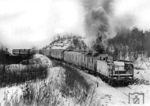 Getarnter Sonderzug des Führungsstabes der Wehrmacht am Karataj-See (nahe Smolensk). Die Zusammensetzung des Zuges deutet vermeintlich auf den Sonderzug des Oberbefehlshabers der Heeresgruppe Mitte hin, mit folgenden Wagen (von links nach rechts): 1. ein vermutlich polnischer Salonwagen, 2. Speisewagen der CIWL, 3. Schlafwagen Typ Y der CIWL, 4. vermutlich polnischer ABhux(z), 5. ein aus einem C4ü-28 hergerichteter Nachrichtenwagen, 6. ein Maschinengepäckwagen MaschPw4ü-37/39, umgebaut aus einemPw4ü-37,  7. ein Heizwagen, 8. ein aus einem Tender hergerichteter Wasserwagen.  (17.01.1943) <i>Foto: RVM</i>