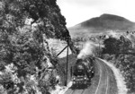 39 232 vor einem Schnellzug Erfurt - Schweinfurt bei Suhl in Thüringen. (1934) <i>Foto: RVM</i>