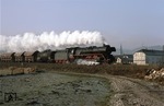 Am Neujahrstag des Jahres 1983 zieht 41 1150 auf der Saalebahn mit Ng 66473 an Etzelbach vorbei. (01.01.1983) <i>Foto: Wolfgang Bügel</i>
