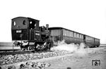 99 022 vom Bw Oldenburg (Oldbg) Hbf im Einsatz auf der Wangerooger Inselbahn. Die von Hanomag 1910 für die Großherzoglich Oldenburgische Eisenbahnen (GOE) gebaute Lok wurde als Nr. 4 auf der Insel in Betrieb genommen.  (1930) <i>Foto: Karl-Friedrich Heck</i>