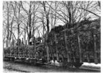 Verladen von Weihnachtsbäumen auf einem unbekannten Bahnhof in der RBD Stuttgart. (1932) <i>Foto: RVM</i>