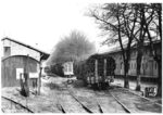 Verladene Weihnachtsbäume auf einem unbekannten Bahnhof in der RBD Stuttgart. (1932) <i>Foto: RVM</i>