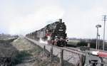 56 2477 mit einem Schotterzug zwischen Emmerich und Wesel. (1959) <i>Foto: Willi Marotz</i>