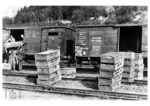Im Rahmen von Flugwettbewerben wurden Brieftauben mit gedeckten Güterwagen der Deutschen Reichsbahn zu einem Auflassplatz transportiert, von wo aus sie ihren Heimflug antraten. (1932) <i>Foto: RVM</i>