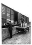 Milchkannenversand im Bahnhof Dauenhof an der Strecke Hamburg-Altona - Neumünster. (1934) <i>Foto: RVM  (Hollnagel)</i>