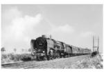 01 035 vor D 22 bei Berlin-Lichterfelde. (21.06.1935) <i>Foto: DLA Darmstadt</i>