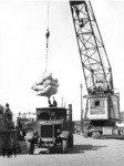 Stückgutumladung im Berliner Westhafen. (1941) <i>Foto: RVM (Ittenbach)</i>
