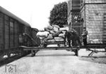 Mit vereinten Kräften wird diese Fuhre auf einem münsterländischen Bahnhof über eine spezielle Überladebrücke in die Waggons verbracht. (1932) <i>Foto: RVM</i>