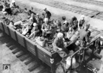 Insbesondere die Zivilbevölkerung - wie hier in der Ukraine - litt unter dem Mangel an adäquaten Beförderungsmöglichkeiten, da dem Militär der absolute Vorrang eingeräumt wurde. Auf der Fahrt zum nächsten Markttag musste zwangsläufig dann auch auf beladenen Kohlenwagen Platz genommen werden. (1943) <i>Foto: RVM (Ittenbach)</i>