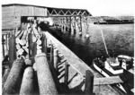 Holzumladung von der Drage auf die Reichsbahn im Bahnhof Kreuz im Schnittpunkt der Strecken Stargard - Posen bzw. Landsberg(Warthe) - Schneidemühl. (1934) <i>Foto: RVM (Berkowski)</i>