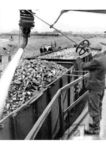 Zuckerrübenwaschanlage, vermutlich bei Euskirchen. (1940) <i>Foto: RBD Köln (Felten)</i>