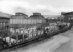 Eher unbekannt ist die Herstellung von Gabelheuwendern durch die Fa. Krupp in Essen, die sich hier frisch verladen auf R-Wagen im Werkshof präsentieren. (1935) <i>Foto: RVM</i>