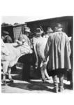 Viehverladung im Nördlinger Ries. (1938) <i>Foto: RVM</i>