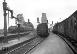 Blick in die Ostausfahrt des Kölner Hauptbahnhofs mit der Hohenzollernbrücke und deren markanten Brückentürmen. Links trifft 01 181 vom Bw Köln Bbf in ihrer Heimatstadt ein, in der Mitte wartet 01 070 auf Ausfahrt nach Deutz, rechts ein stilreiner preußischer Personenzug mit einer T 18 (BR 78) an der Zugspitze. (1953) <i>Foto: Fischer</i>