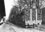 Verladene Weihnachtsbäume auf einem unbekannten Bahnhof in der RBD Stuttgart.  (1932) <i>Foto: RVM</i>