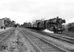 41 243 mit einem stilreinen preußischen Personenzug auf der Nebenbahn von Osnabrück über Dissen-Bad Rothenfelde und Halle (Westf.) nach Bielefeld-Brackwede. (14.08.1959) <i>Foto: E. A. Wood</i>
