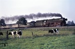 012 100-4 (01 1100) scheucht vor dem abendlichen E 2738 (Norddeich - Wuppertal - Köln) die ostfriesischen Schwarz-Bunten bei Neermoor auf. (21.08.1974) <i>Foto: Peter Schiffer</i>
