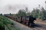 043 381 (44 381) vor dem aus leeren Autotransportwagen bestehenden Dg 54563 bei Lathen. (12.07.1976) <i>Foto: Peter Schiffer</i>