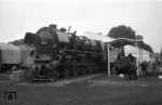 05 003 (Baujahr 1936) auf der Verkehrsausstellung "Schiene und Straße" in Essen (Gruga). Rechts daneben zum Größenvergleich der nachgebaute "Adler" von 1835. (07.09.1951) <i>Foto: Willi Marotz</i>