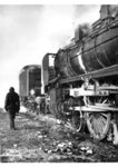 Die bis Juni 1942 beim Bw Stargard beheimatete 38 1339 im Bw Njeshin an der Strecke Kiew - Moskau. (1943) <i>Foto: RVM (Bandelow)</i>