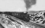 Ein Personenzug auf der Sylter Südbahn bei Puan Klent. (07.1951) <i>Foto: unbekannt</i>