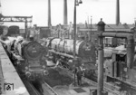 Hochbetrieb im Bw Kassel: Die dort beheimatete 01 1095 wartet mit 01 150 (Bw Gießen) und 92 601 (Bw Kassel) an den Lokbehandlungsgleisen. (13.05.1962) <i>Foto: G. Moll</i>