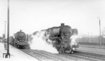 01 1095 (Bw Kassel) überholt vor D 283 (Basel - Bremerhaven-Lehe) die in Gießen Hbf am Bahnsteig wartende 39 067 (Bw Gießen) mit E 575 nach Westerland. (12.06.1957) <i>Foto: Carl Bellingrodt</i>