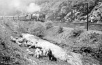 01 123 (Bw Nürnberg Hbf) passiert mit D 40 die am Ufer des Steinbaches plazierte Schafherde bei Falkenstein zwischen Probstzella und Ludwigsstadt. (28.05.1936) <i>Foto: RVM-Filmstelle Berlin</i>