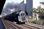 Vorbei an den Häuserzeilen der Stadtbahn rauscht 01 0524-7 vor D 336 nach Hamburg am Haltepunkt Berlin-Bellevue vorbei. (23.08.1972) <i>Foto: Wolfgang Bügel</i>