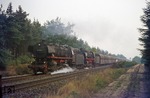 Im Morgendunst des 30. August rollen 043 652-7 + 043 364-9 (44 1652 + 44 1364) vor dem 4000 t Erzzug Gdg 5064 durch die Kiefernwälder bei Haren. (30.08.1973) <i>Foto: Wolfgang Bügel</i>