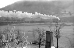 Morgenstimmung auf der Schwarzwaldbahn: Eine badische G 12 kämpft sich mit ihrem Güterzug bei Gutach die Steigung hinauf. (05.1938) <i>Foto: Theo Felten</i>