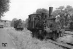Vorne Werklok 3 (ex DB 89 7531, ex Braunschweigische Landeseisenbahn 13 "Rhueden“), dahinter Werklok 2 (ex KPEV T3 "Elberfeld 1744", ab 1906 "Elberfeld 6221"), die bereits 1924 zum RAW Schwerte/Ruhr gelangte. Gelegentlich wird sie als "89 7077" bezeichnet, diese Nummer hat sie jedoch nie getragen. (19.08.1966) <i>Foto: Wolfgang Bügel</i>