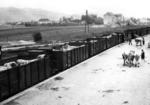 Viehverladung in der RBD Linz. (1938) <i>Foto: RVM</i>