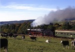 44 1093 während einer Plandampfveranstaltung bei Rauenstein in Thüringen. (09.10.1992) <i>Foto: Wolfgang Bügel</i>