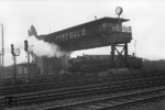 Eine unbekannte 41er passiert das Reiterstellwerk "Vmo" in Hamm Rangierbahnhof.  (08.11.1954) <i>Foto: Willi Marotz</i>