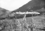 Morgenstimmung auf der Schwarzwaldbahn: Eine badische G 12 kämpft sich im Vorfrühling mit ihrem Güterzug bei Gutach die Steigung hinauf. (05.1938) <i>Foto: RVM (Felten)</i>