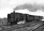 03 125 mit einem Schnellzug auf der Fahrt von Hamburg nach Hannover bei Bevensen. An der Loknummer bestehen allerdings erhebliche Zweifel, da 03 125 - in Königsberg stationiert - nach 1945 bei der SZD verblieb. Um die Bewegungsunschärfe der Lok zu kaschieren, wurde die Loknummer offensichtlich nachträglich retuschiert und prompt falsch übertragen.  Es scheint sich tatsächlich nämlich um 03 129 vom Bw Hannover zu handeln. (08.1952) <i>Foto: Walter Hollnagel</i>
