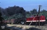 Der Vorspann einer Diesellok vor der Dampflok, wie hier 110 850 vor der 58 2051 bei Lauter/Sa. war ein Ärgernis, dass meist durch laute Flüche des Fotografens quittiert wurde. Glücklicherweise drückte er trotzdem noch im letzen Moment auf den Auslöser, so dass dieses Zeitdokument erhalten blieb. (08.09.1976) <i>Foto: Peter Schiffer</i>