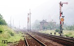 Bereits seit den 1950er Jahren suchte man nach Lösungen, den alten Miltenberger Kopfbahnhof zum bisherigen rechtsmainischen Haltepunkt Miltenberg Nord zu verlegen. Am 22. Mai 1977 löste der neue "Bahnhof Miltenberg" den bisherigen Miltenberger Hauptbahnhof im Personenverkehr vollständig ab, der Hauptbahnhof hieß von nun an "Miltenberg Güterbahnhof" (Gbf). Das Bild zeigt die Gleisanlagen des alten Miltenberger Hbf unmittelbar nach seiner Stillegung. (12.06.1977) <i>Foto: Oskar Bär</i>