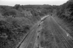 Ein VT 11 als TEE 20 "Saphir" hat soeben das deutsch-belgische Grenzgebiet hinter sich gelassen und wird gleich im Buschtunnel in Richtung Aachen entschwinden.  (23.06.1962) <i>Foto: Walter Hollnagel</i>