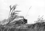 Bekanntes Werbefoto vom Hamburger Direktions-Fotografen eines Dampfzuges mit einer 03 im Schilfufer der Luhe bei Winsen (Strecke Hannover - Hamburg).  (15.07.1958) <i>Foto: Walter Hollnagel</i>