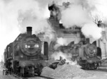 38 2594 (ex Bw Halle P) und 38 2898 (rechts) im Bw Kiew Hbf. Zur Jahreswende 1942/43 besaß das Bw Kiew bis zu 62 preußische P 8.  (1942) <i>Foto: RVM (Ittenbach)</i>