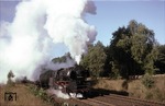 Die ölgefeuerte 50 0016 (Umbau aus 50 3587, ex 50 1517) beschleunigt einen Flüssiggaszug westlich von Chorin (zwischen Angermünde und Eberswalde).  (16.09.1979) <i>Foto: Wolfgang Bügel</i>