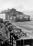 Drei preußische G 8 (links ist 55 2780 identifizierbar) warten vor dem Schuppen von Neu-Wilna in Litauen auf den nächsten Einsatz. (1943) <i>Foto: RVM (Korte)</i>