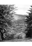 Blick auf den Bahnhof Probstzella. (1939) <i>Foto: RVM</i>