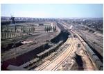 Blick auf die nördliche Ausfahrt des Verschiebebahnhofs Bobrinskaja (auf halber Strecke zwischen Snamenka und Tscherkassy). Es rangiert eine pr. G 7.1 (BR 55.0). (07.1943) <i>Foto: Walter Hollnagel</i>